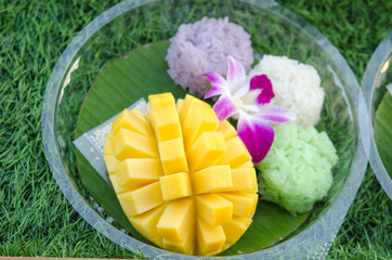 Sticky Rice with Mango