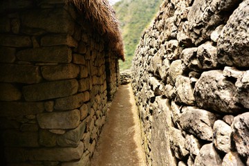 Stone
