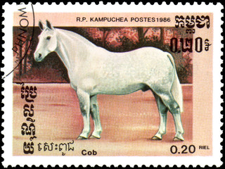 R.P. KAMPUCHEA - CIRCA 1986: A stamp printed in R.P.Kampuchea shows a Cob horse, series breeds of horses