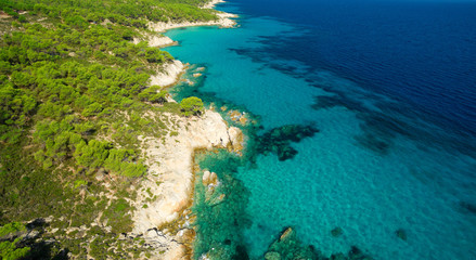 Fototapeta premium Sea shore under clear sky
