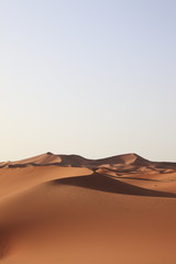 Fototapeta na wymiar サハラ砂漠のシェビ大砂丘