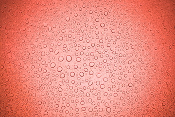 Rain droplets on red glass background, Water drops on glass.