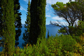 Obraz premium Nature wound sea, sun water, sky and holiday