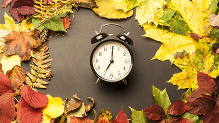 alarm clock on a background of autumn leaves