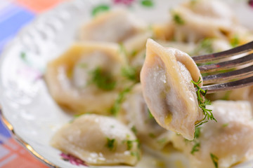 Boiled dumplings on plate