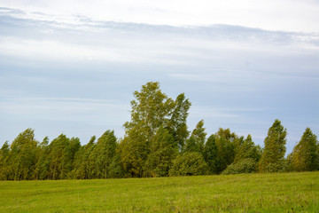 Obraz premium autumn gold, the nature of Russia. Golden September