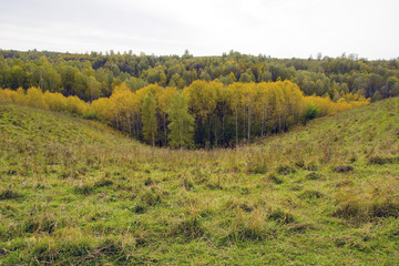Obraz premium autumn gold, the nature of Russia. Golden September