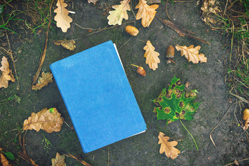 Book on the ground, covered in yellow maple and oak leaves. Back to school. Education concept. Beautiful autumn background. Picturesque composition. Weekend in the Park.