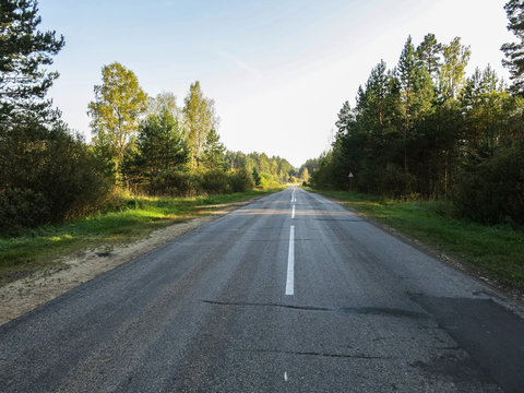 Motor road in the forest