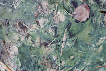 Sulfur sludge in lake