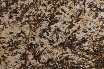 Rolgordijnen Brown seamless granite texture. © Dmytro Synelnychenko