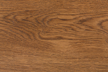 Macro shot of oak texture.