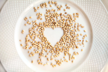 Pearl barley grain in a shape of heart spilled on a plate. Raw groats food ingredient background. Love for cooking concept