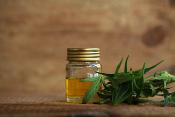 cannabis oil and hemp