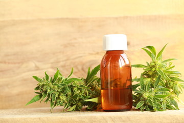 cannabis oil and hemp