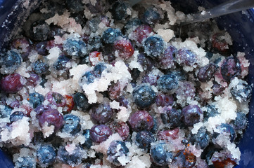 Fresh blueberries in sugar