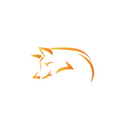 Vector image of an fox on white background