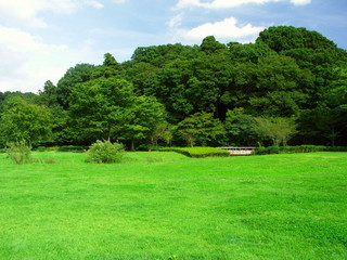 秋の公園風景　21世紀の森と広場