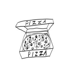 vector illustration of pizza on isolate background