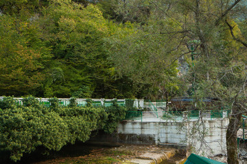 Fototapeta na wymiar beautiful green summer park with a bridge