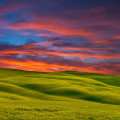 The green field in twilight