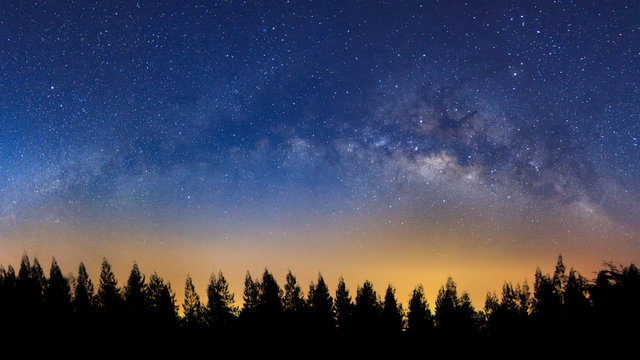 Panorama landscape with milky way, Night sky with stars and silhouette of pine tree