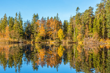 Fototapeta na wymiar Lake in the forest with water reflections