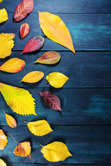 Fototapeta na wymiar Autumn leaves on dark rustic texture with copy space