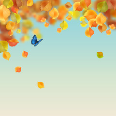 Vector Autumn Background