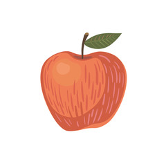 red apple with leaf vector illustration isolated on white