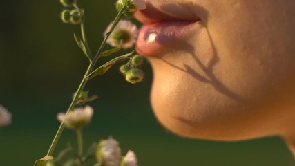 Slow motion. a young sexy girl holds a delicate flower of chamomile over her lips. close-up. large puffy pink lips. HD - Powered by Adobe