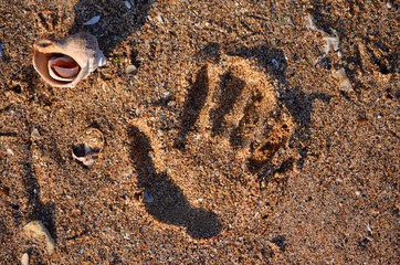 Footprint by hand on the sand.