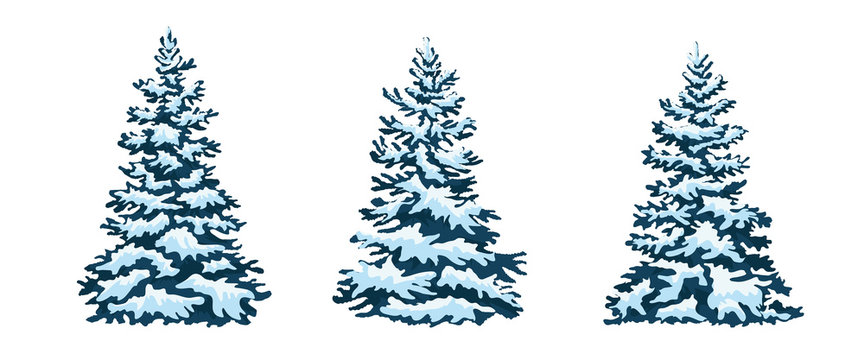 Green Christmas tree in the snow. Christmas. New Year. Drawing. Isolated.