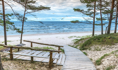 Autumnal coastal landscape in forestry dunes of the Baltic Sea