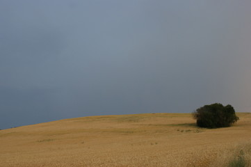 Obraz premium Soledad