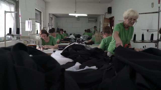 Group of female dressmakers sitting and using sewing machines to stitching fabric textiles in workshop, wide angle view, young and mature women tailoring in clothing factory, interior scene