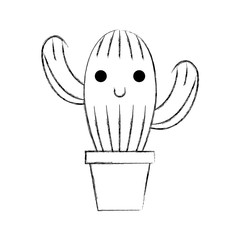 cute potted cactus flora decoration natural