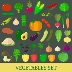 A set of fresh vegetable illustrations on a dark background.