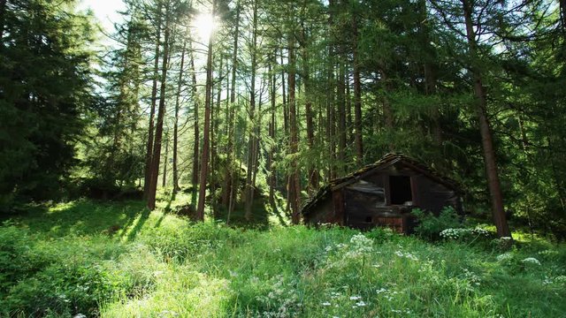 Abandoned hut in forest near Zermatt - Shot on RED Digital Cinema Camera at 5K