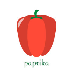 Paprika icon in flat style isolated on white background.