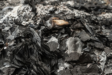 Ashes from paper
