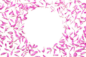 Fototapeta na wymiar Creative minimal flower background. Pink flowers frame on white background. Festive greeting card top with copy space.