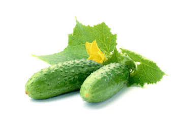 Two fresh cucumbers with leaf and flower on white