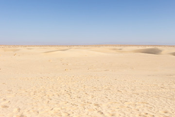 Sahara Desert