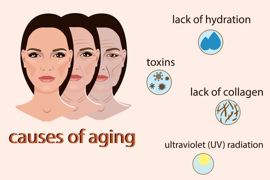 Causes of aging, vector illustration with two faces and small pictures