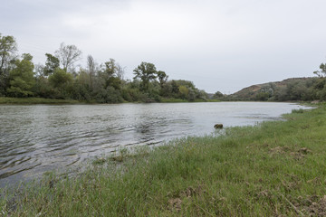 The river Ebro on its way through Escatron, Aragon