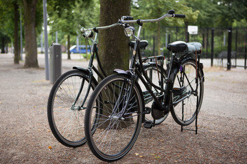 Obraz premium Two city bikes near the tree in the park