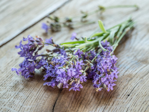 Fototapeta Lavandula or lavender flowers on the wooden background.