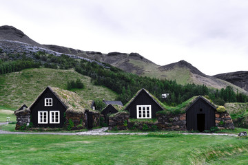 Fototapeta na wymiar Traditional icelandic houses with grass