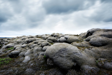 Obraz premium Moss field in Iceland